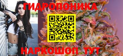 спиды Аша