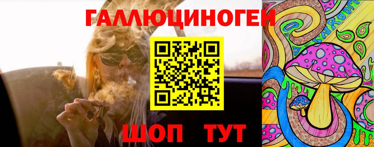 Галлюциногенные грибы Cubensis Бор